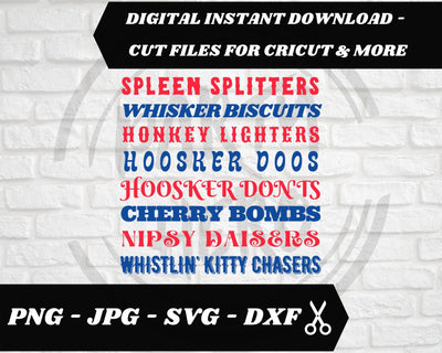 Funny Joe Dirt Quote for 4th of July