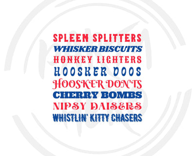 Funny Joe Dirt Quote Text in Blue & Red