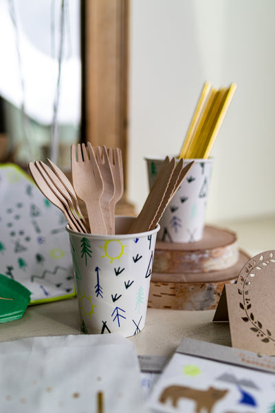 Wooden Party Compostable Utensils