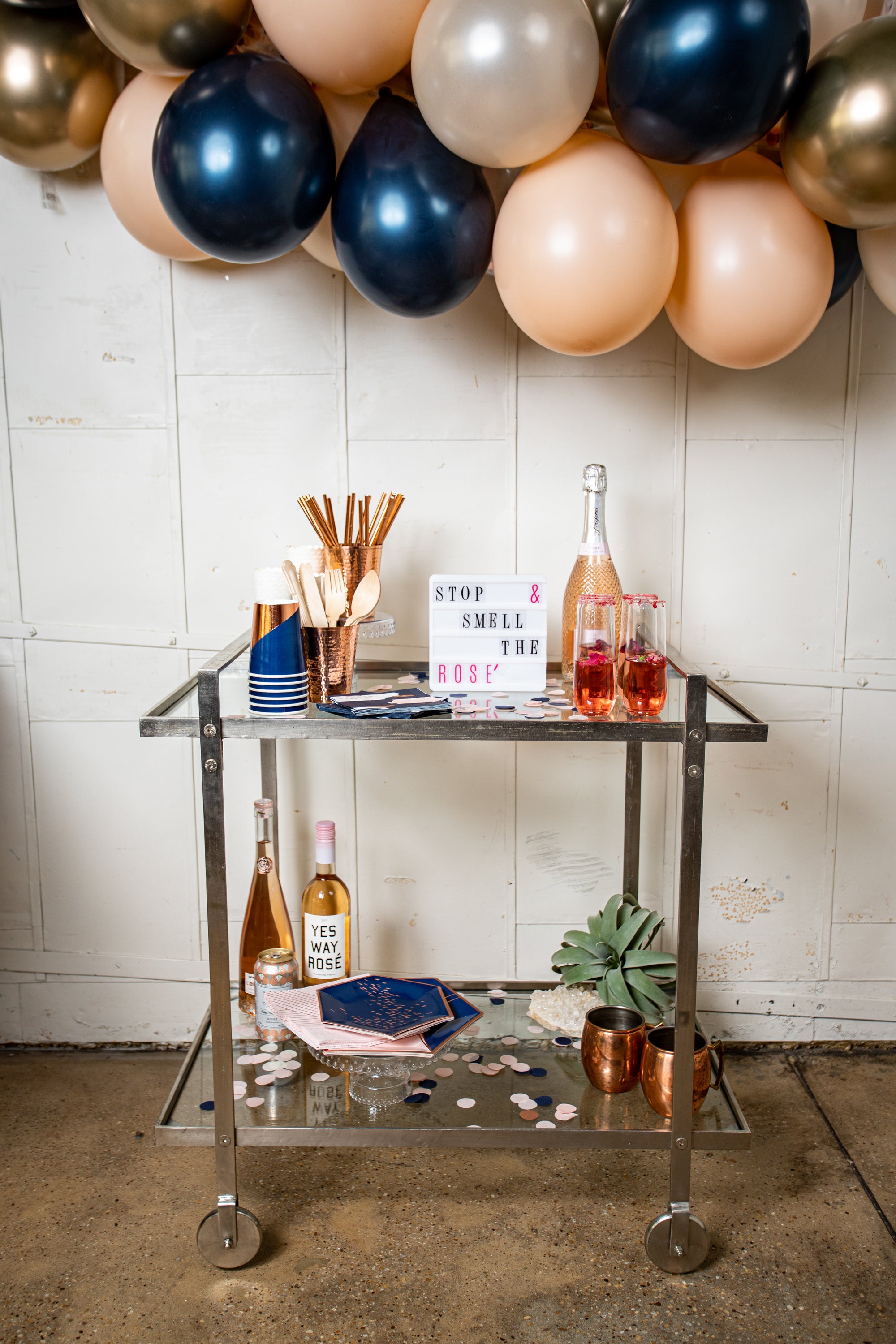 Navy and Blush Party - My Party Hero